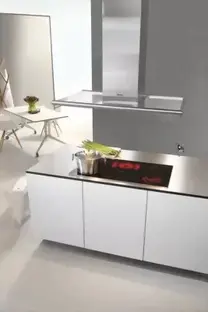 Вытяжка Miele DA 430-4 фото 2 в Ростове-на-Дону Вытяжка Miele DA 430-4 фото 2 в Ростове-на-Дону