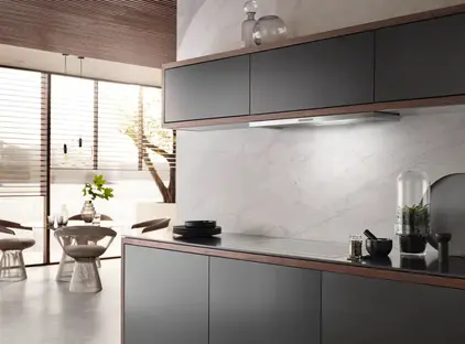 Встраиваемая вытяжка Miele DAS 2920 фото 3 в Ростове-на-Дону