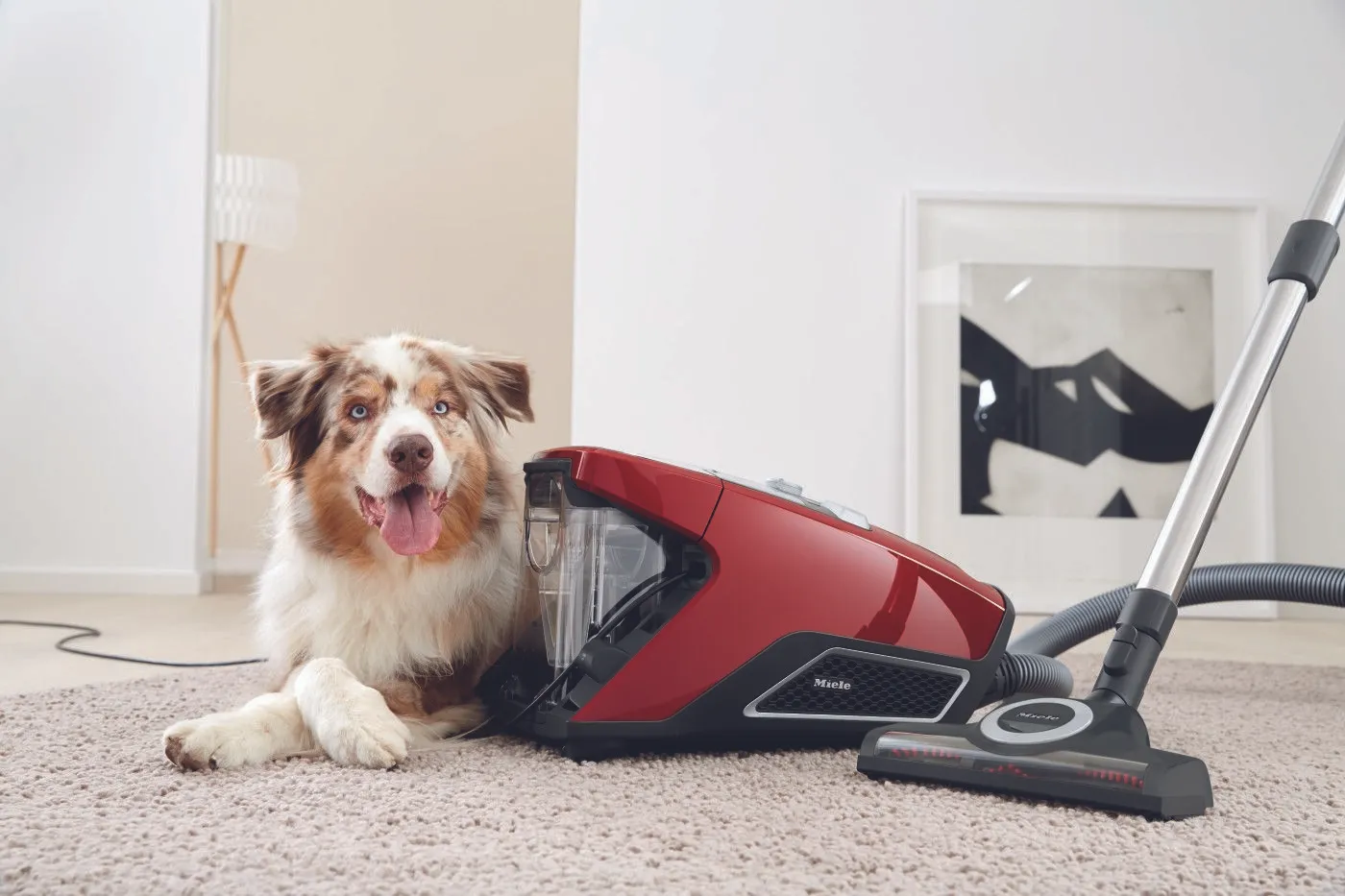 Пылесос Miele Blizzard CX1 Cat&Dog SKCR3 красный манго 1100 вт фото 2 в Ростове-на-Дону Пылесос Miele Blizzard CX1 Cat&Dog SKCR3 красный манго 1100 вт фото 2 в Ростове-на-Дону