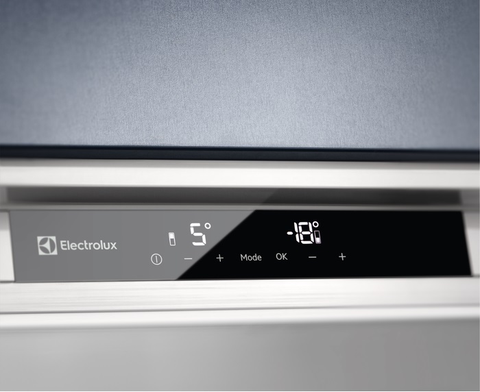 Холодильник Electrolux RNS9TE19S фото 6 в Ростове-на-Дону