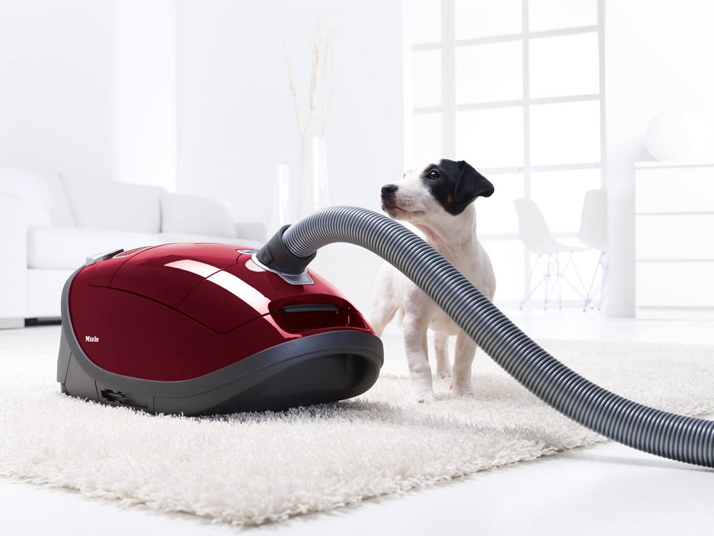 Пылесос Miele Complete C3 Cat&Dog PowerLine SGEA3 ежевичный красный 2000 вт фото 2 в Ростове-на-Дону