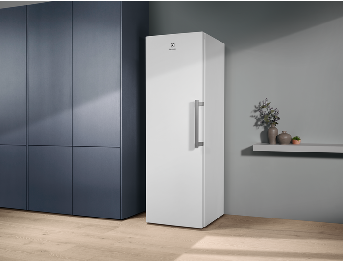 Холодильник Electrolux RUT5NF28W1 фото 3 в Ростове-на-Дону Холодильник Electrolux RUT5NF28W1 фото 3 в Ростове-на-Дону