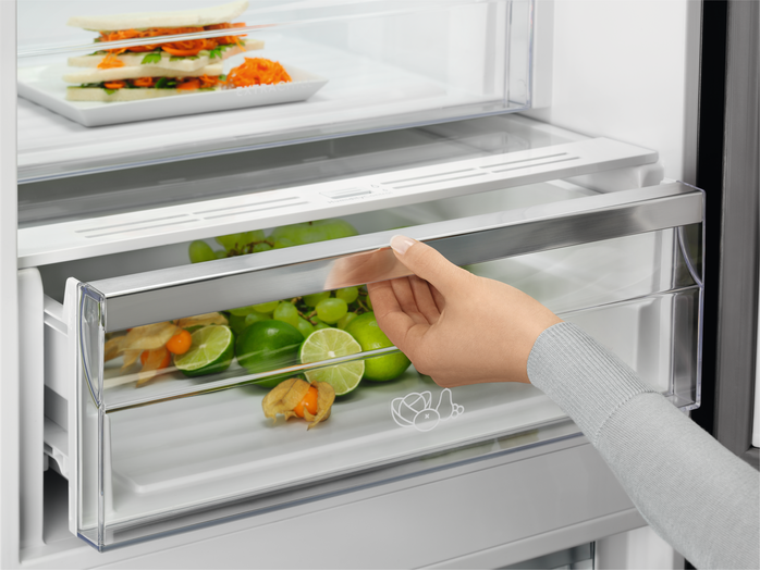 Холодильник Electrolux RNC7ME34W2 фото 5 в Ростове-на-Дону