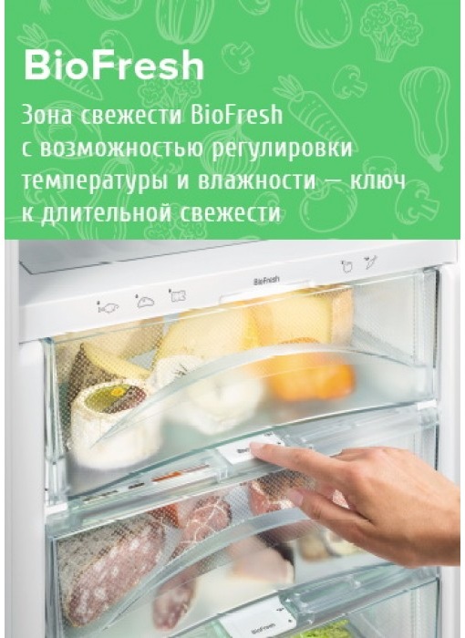 Холодильник Liebherr KBef 3730 фото 8 в Ростове-на-Дону