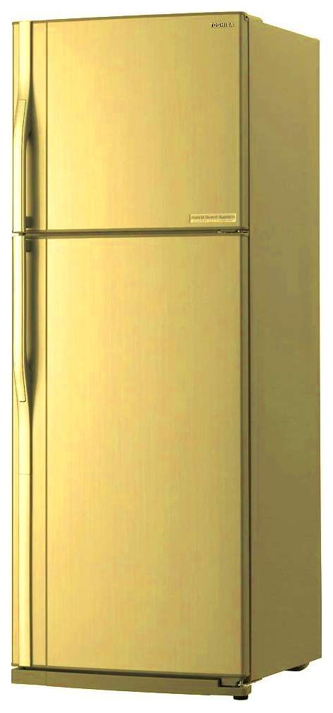 Холодильник Toshiba GR-R59FTR (CX) фото 1 в Ростове-на-Дону