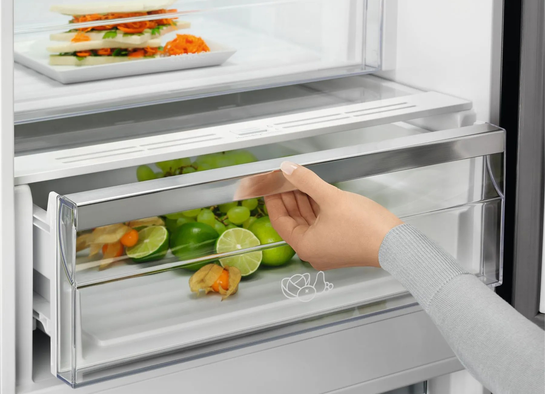 Холодильник ELECTROLUX LNT7ME36G2 фото 5 в Ростове-на-Дону