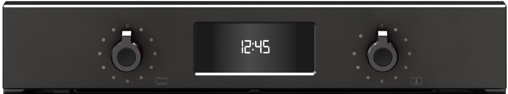 Духовой шкаф Bertazzoni F6011PROELN фото 4 в Ростове-на-Дону