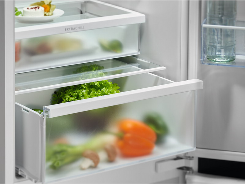 Холодильник Electrolux ENT6MD19S3 фото 4 в Ростове-на-Дону